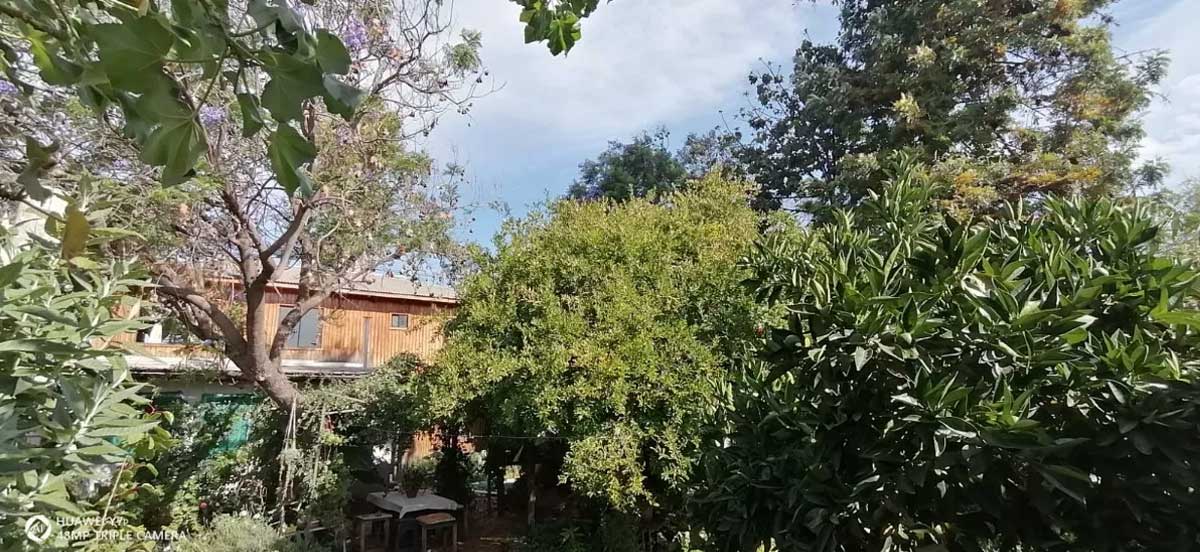foto6