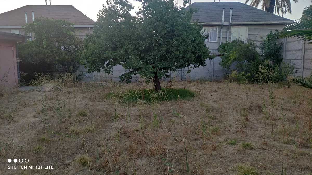 foto4