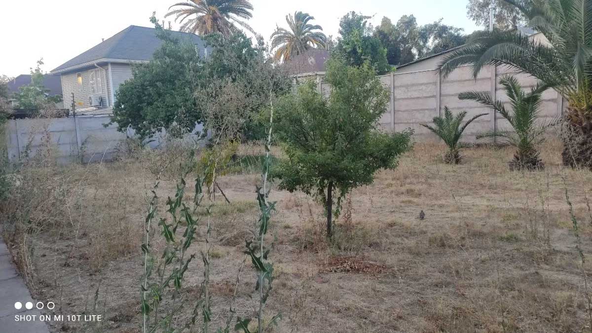 foto5
